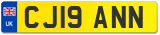CJ19 ANN
