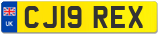 CJ19 REX