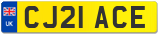 CJ21 ACE