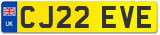 CJ22 EVE