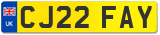 CJ22 FAY