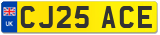 CJ25 ACE