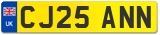 CJ25 ANN