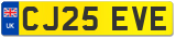 CJ25 EVE