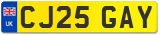 CJ25 GAY