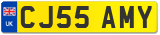 CJ55 AMY