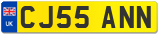 CJ55 ANN