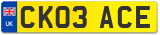CK03 ACE