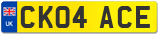 CK04 ACE
