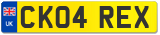 CK04 REX