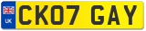 CK07 GAY