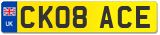 CK08 ACE