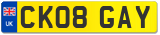 CK08 GAY