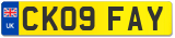 CK09 FAY