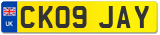 CK09 JAY