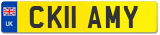 CK11 AMY