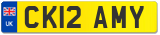 CK12 AMY