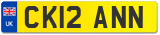 CK12 ANN