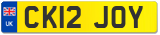 CK12 JOY