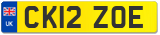 CK12 ZOE