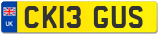 CK13 GUS