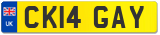 CK14 GAY