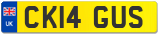 CK14 GUS