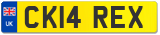 CK14 REX