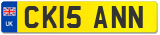 CK15 ANN