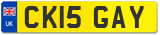 CK15 GAY