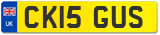 CK15 GUS