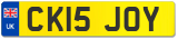 CK15 JOY