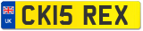 CK15 REX