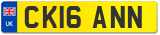 CK16 ANN