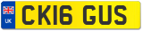 CK16 GUS