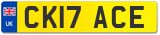 CK17 ACE