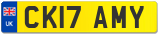 CK17 AMY