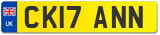 CK17 ANN