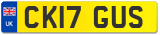 CK17 GUS