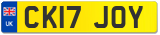 CK17 JOY