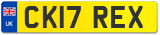 CK17 REX