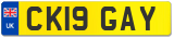 CK19 GAY