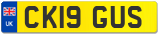 CK19 GUS