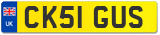 CK51 GUS