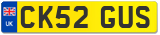 CK52 GUS