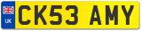 CK53 AMY