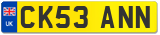 CK53 ANN