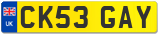 CK53 GAY