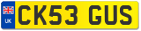 CK53 GUS