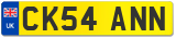 CK54 ANN